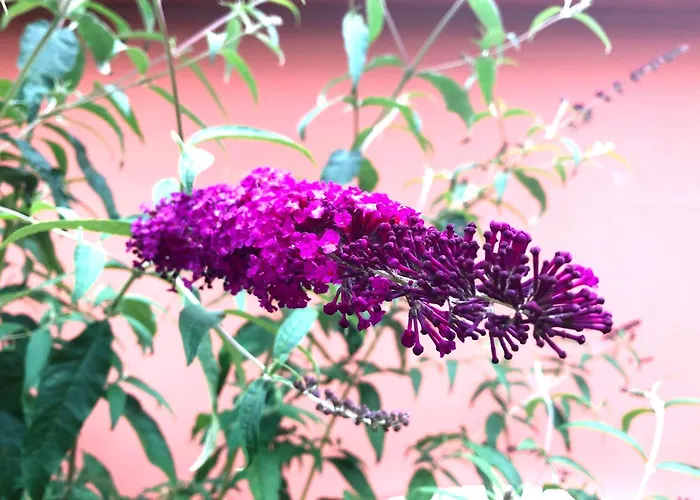 Apartment An Den Elbwiesen Dresden