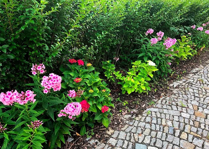 An Den Elbwiesen Apartment *