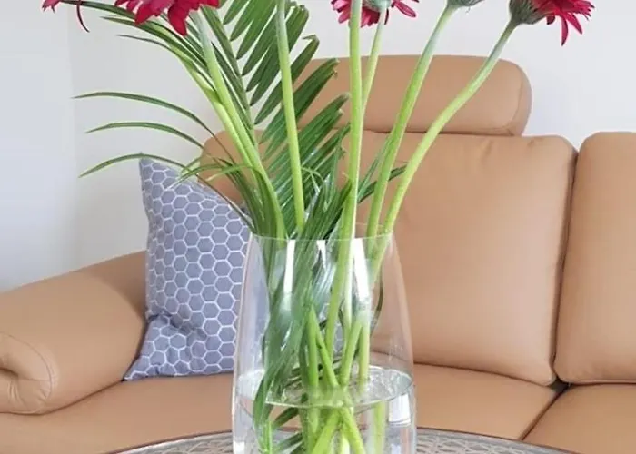 An Den Elbwiesen Apartment *